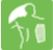 Endeavour Hills Physiotherapy